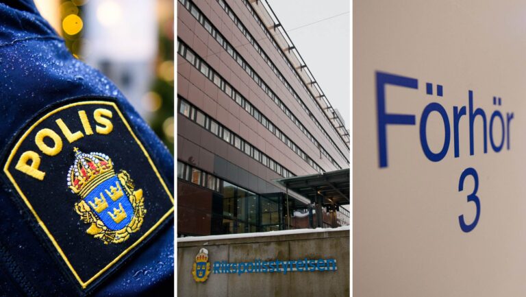 Poliser hjälpte kvinna som ljög om våldtäkt